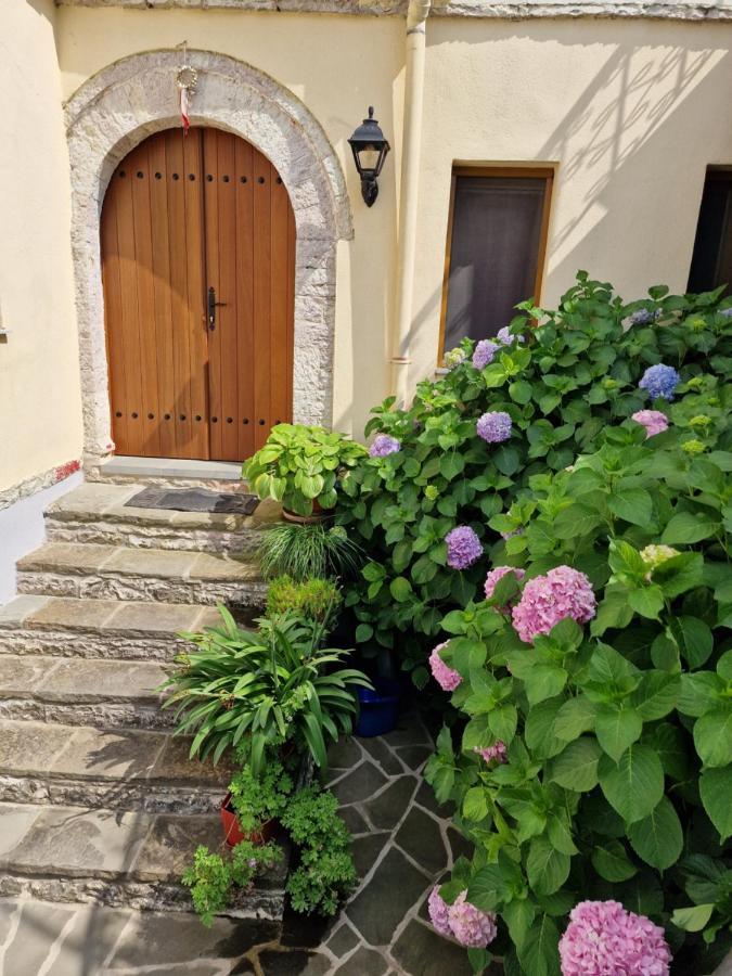 Palorto Traditional